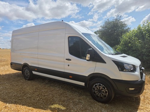 Dog van camper - van,